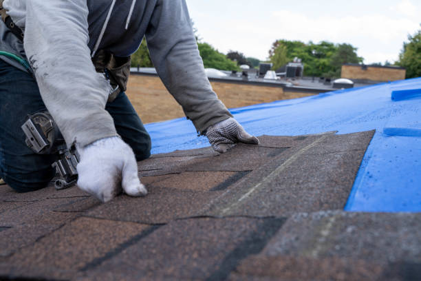Best Roof Gutter Cleaning  in Lincoln Village, CA